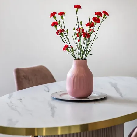 Continental Piamola Blisko Plazy * 库瑞尼卡慕斯卡