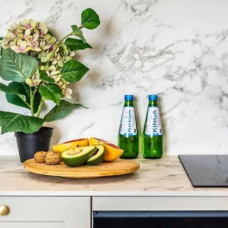 公寓 Continental Piamola Blisko Plazy 库瑞尼卡慕斯卡